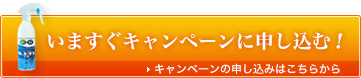 いますぐキャンペーンに申し込む！